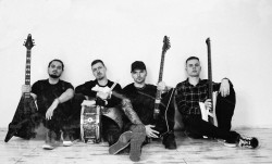 Čeho mají FROM INSIGHT plné zuby?