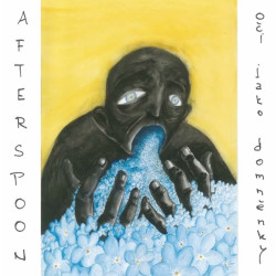 AFTERSPOON_cd