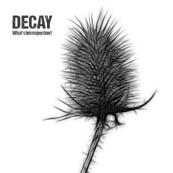 DECAY_cd