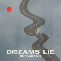 BOTTLED FISH_cd