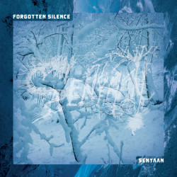 FORGOTTEN SILENCE_cd